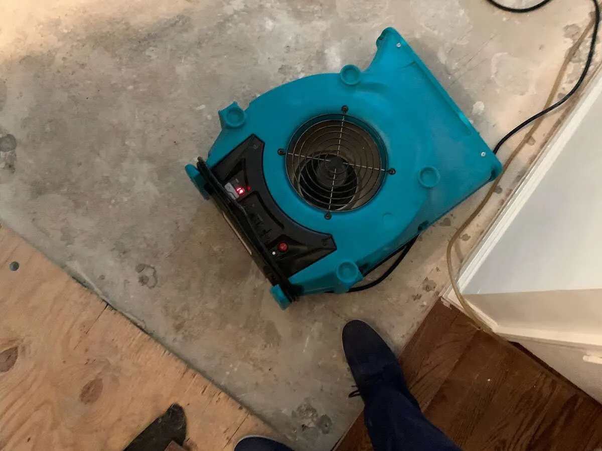 Air mover drying subfloor during Leak Detection & Repair in Oak Bluffs